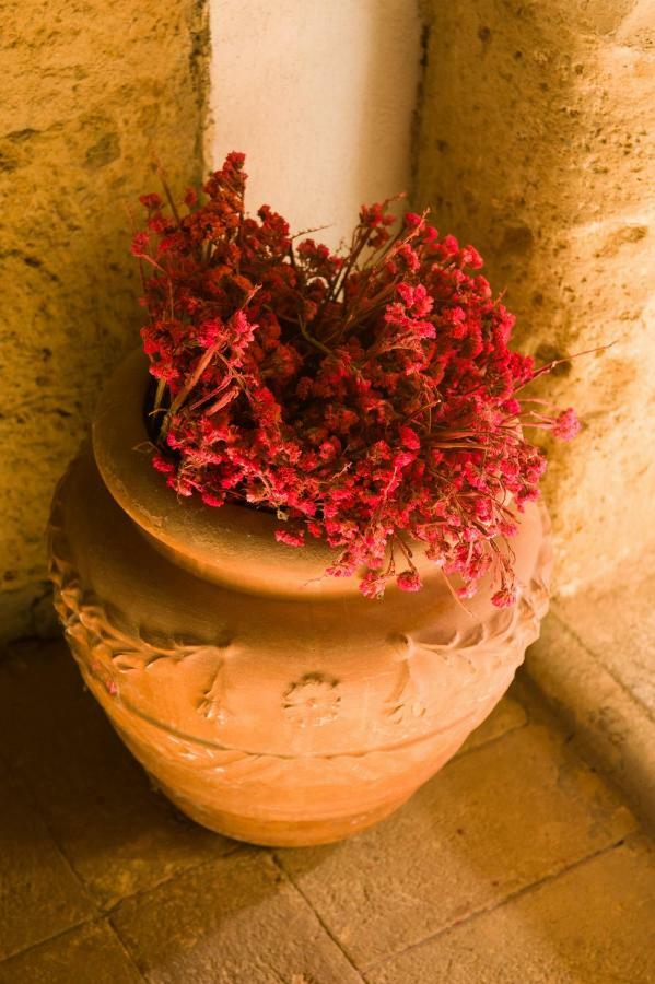 Palazzo Contino Daire Bagnoregio Dış mekan fotoğraf